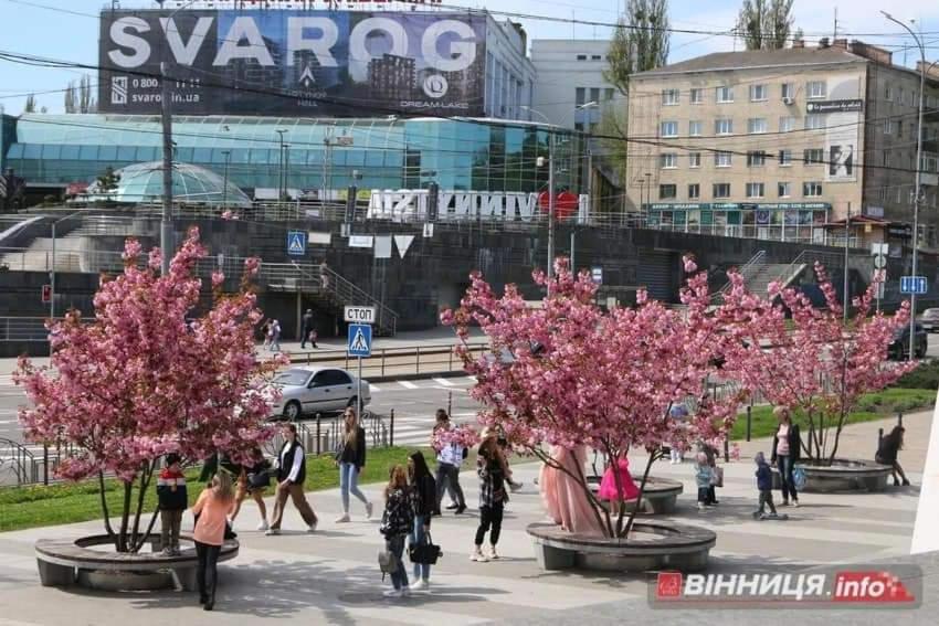 Apartment центр Vinnytsia